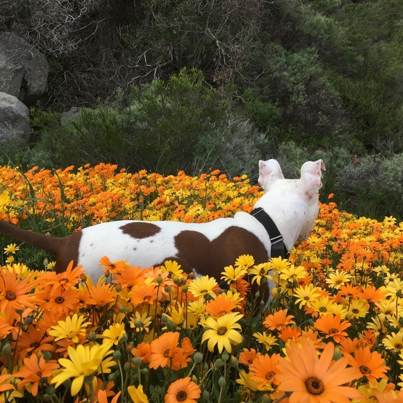 MEET YOUR FELLOW POSHER - Picture 14 of 16